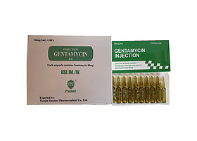 Gentamycin Injection