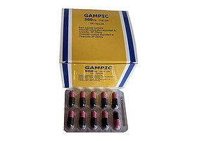 Ampicilin + Cloxacillin Capsules