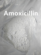 99% Amoxicillin trihydrate powder factory