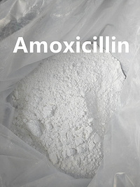 99% Amoxicillin trihydrate powder factory