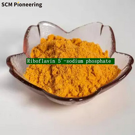 Food/Pharma Grade Riboflavin Sodium Phosphate