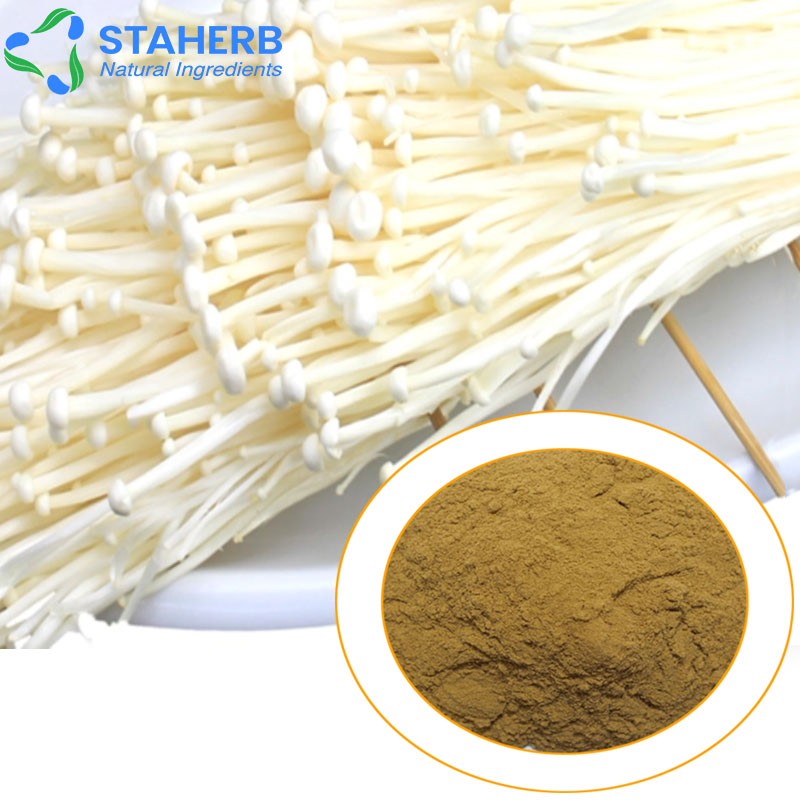 needle mushroom Flammulina velutipes enoki mushroom flammulina velutipes extract