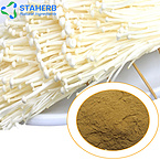 needle mushroom Flammulina velutipes enoki mushroom flammulina velutipes extract