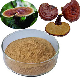 Reishi (broken shell) Spore Powder, Organic Reishi Spore Powder