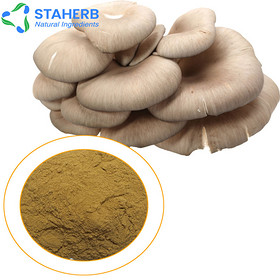 Oyster mushroom Extract, Oster fungus Extract, Pleurotus ost