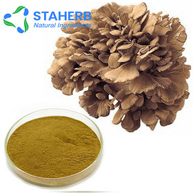 Grifola Frondosus extract, Maitake Extract, Maitake Mushroom extract