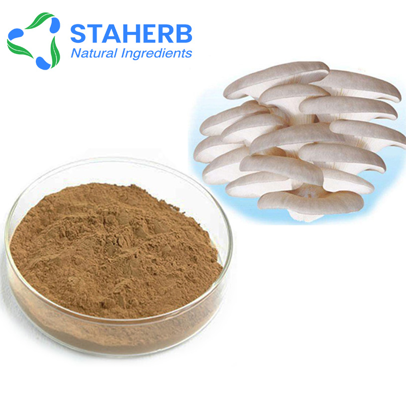 Oyster mushroom Extract, Oster fungus Extract, Pleurotus ost powder