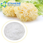 Tremella Fuciformis Extract, Snow Fungus Tremella fuciformis Tremella white fungus silvery fungi Ext