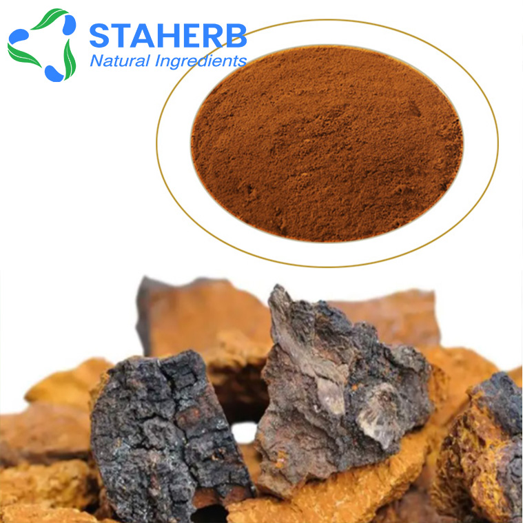 CHAGA Chaga Mushroom inonotus obliquus SUPER CHAGA extract