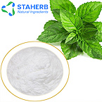 Peppermint Mint The Peppermints dried peppermint leaf peppermint leaf extract menthol 15356-70-4