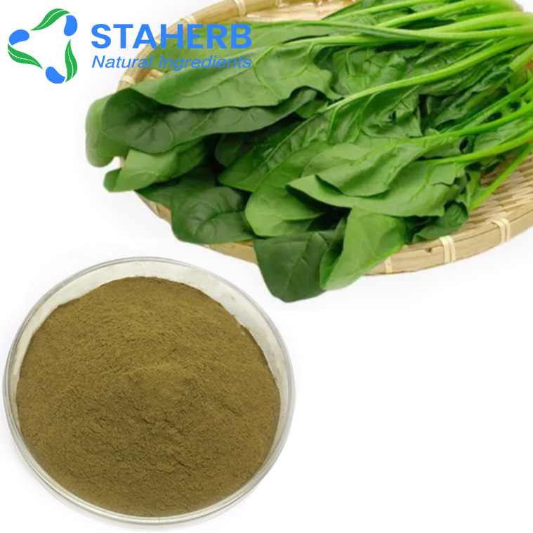 Spinach Spinacia oleracea BOBcai spinage extract