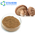 shiitake mushroom champignon Mushrooms Lentinula edodes mushroom Extract