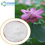 competitive Price to sell pure Natural 98% Nuciferine