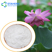 competitive Price to sell pure Natural 98% Nuciferine