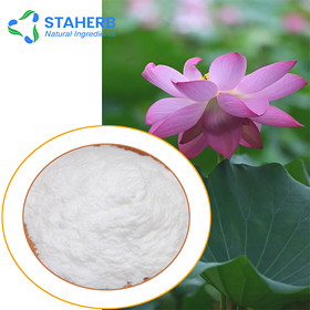 competitive Price to sell pure Natural 98% Nuciferine