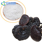 Reishi Mushroom Extract Polysaccharides