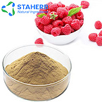 Raspberry Rubus idaeus Bilberry palm leaf Raspberry Fruit raspberries extract