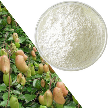 Factory Supply Pure Griffonia Simplicifolia Seed Extract 5-HTP Powder
