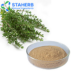 Thyme Thymus mongolicus Thymus vulgaris Thymus serpyllum thyme extract