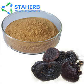 Reishi Mushroom Extract Polysaccharides Ganoderma lucidum Lucid Ganoderma lingzhi extract