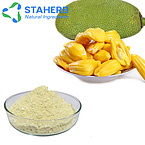 jackfruit Tupelo Honey Artocarpus heterophyllus Bolome extract