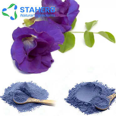 butterfly pea flower extract