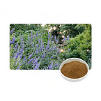 4:1-20:1 Vitex Agnus-Castus Extract Powder with Vitexin