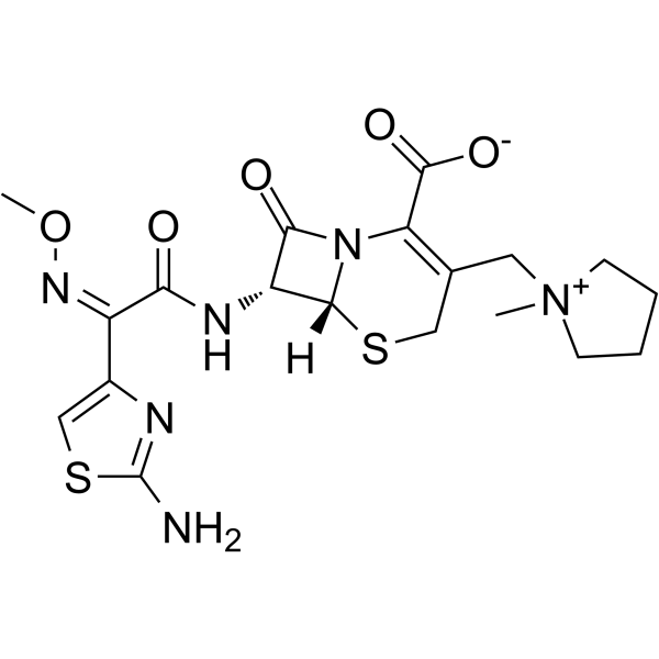 Cefepime