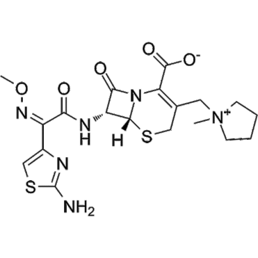 Cefepime