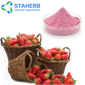 Strawberry strawberries Fraise Fragaria Ananassa Duch extract Strawberry strawberries Fraise Fragari