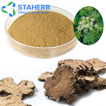 Rhizoma Chuanxiong Extract Lovage Extract Extract Of Chuanxiong Rhizome Szechwan Lovage Rhizome Extr