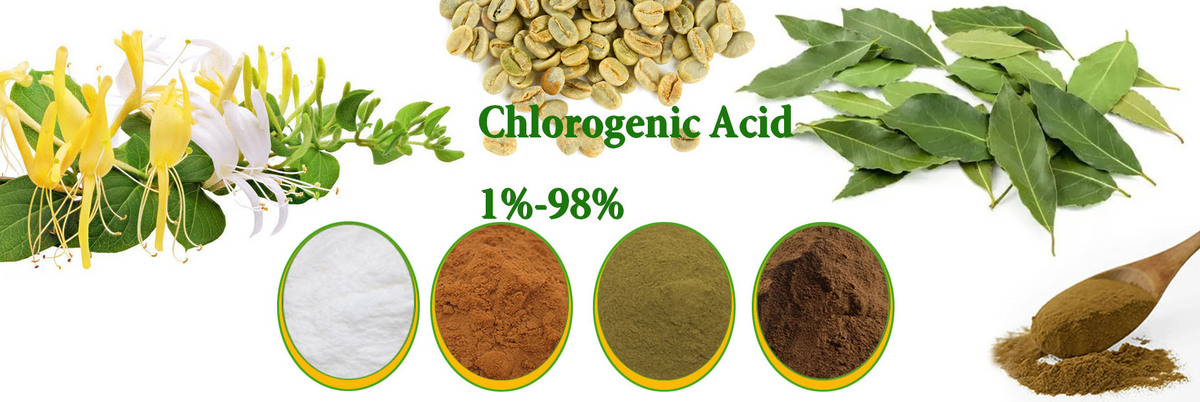 Changsha Staherb Natural Ingredients Co., Ltd.