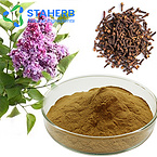 clove lilac Syzygium aromaticum Flos Caryophyllata extract