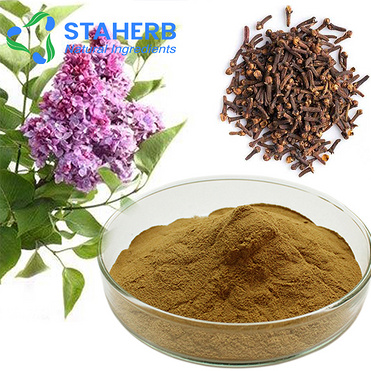 clove lilac Syzygium aromaticum Flos Caryophyllata extract