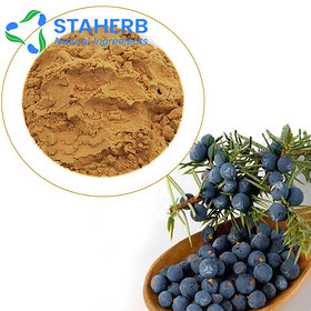 juniper berry Juniper Berries Juniper JUNIPERUS COMMUNIS LINNAEUS extract