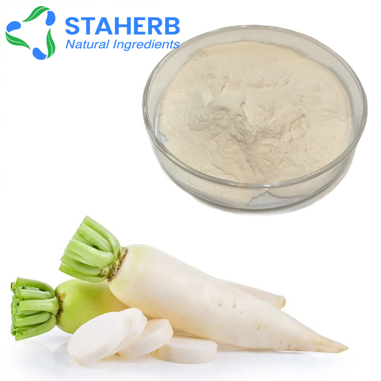 Daikon Mooli Radish ternip white radish extract Daikon Mooli Radish ternip white radish powder