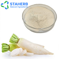 Daikon Mooli Radish ternip white radish extract Daikon Mooli Radish ternip white radish powder