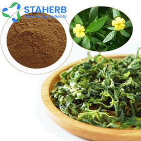 Damiana extract Turnera Aphrodisiaca extract  Damiana extract