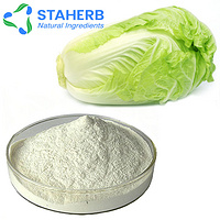 Cabbage extract Cabbage powder