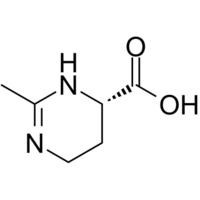 Ectoine