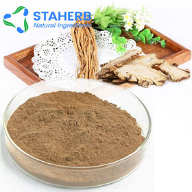 Angelica sinensis Chinese Angelica Radix Angelicae Sinensis angelica extract