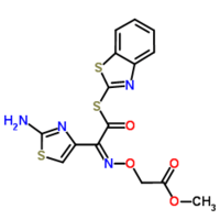 MICA ESTER