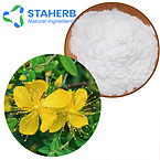 Hypericum perforatum St John's wort Hypericum Saint John's wort extract