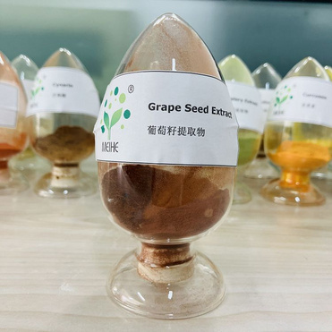 Grape Seed Extract (Polyphenols 80%)