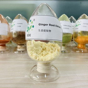 Ginger Root Extract (Gingerols 5%)