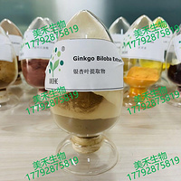 Factory Supply Ginkgo Biloba Extract (24% ginkgo flavones, 6% ginkgo lactones)