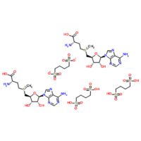 Ademetionine 1,4-butanedisulfonate