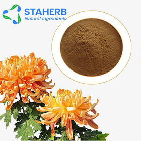 Flos Chrysanthemi Chrysanthemum Chrysanthemum morifolium florists chrysanthemum extract