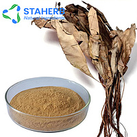 Labisia Pumila Extract Kacip Fatimah extract