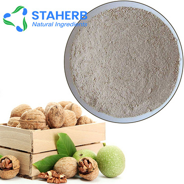 Walnut extract Walnut kernel extract Walnut kernel powder